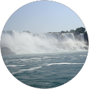 Gabriella Dominioni profile picture